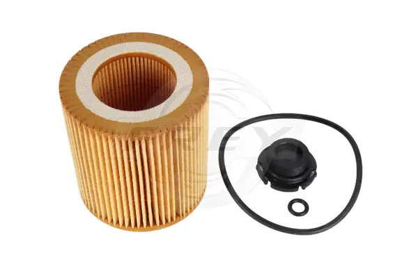 Oil Filter (809105201)