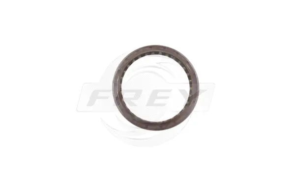 Shaft Seal, wheel bearing (712404801)