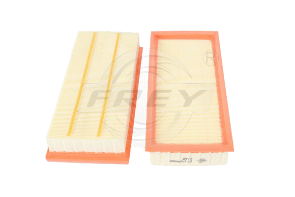 Air Filter (703121101)