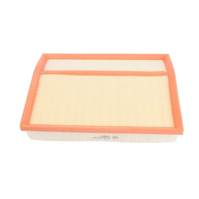 Air Filter (703104601)