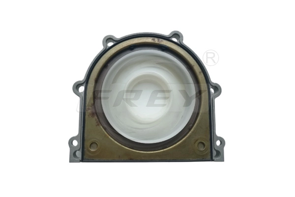 Shaft Seal, crankshaft (795500801)