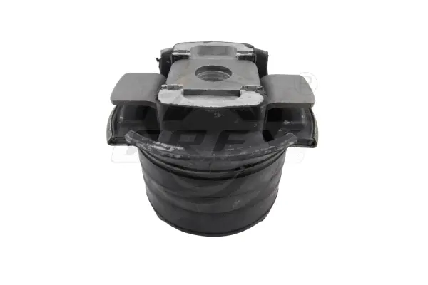 Bushing, axle beam (750255601)