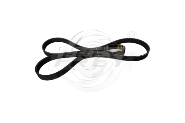 V-Ribbed Belt (621605601)