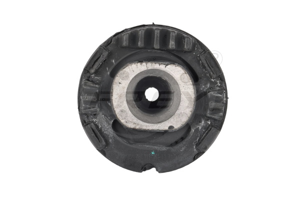 Bushing, axle beam (750207901)