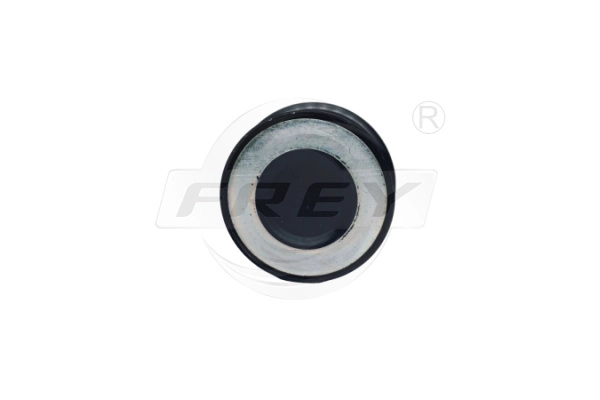 Alternator Freewheel Clutch (721102101)