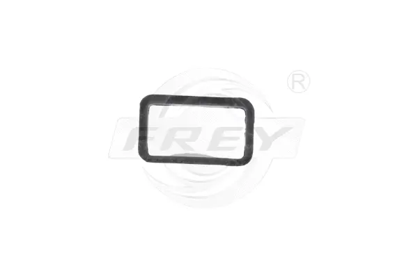 Gasket, timing case cover (700502809)