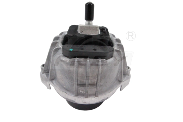Mounting, engine (802925101)