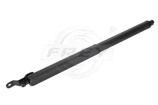 Gas Spring, boot/cargo area (790814101)