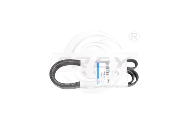 V-Ribbed Belt (821609001)