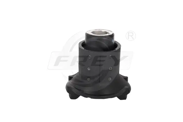 Bushing, axle beam (750256701)