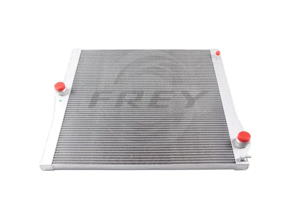 Radiator, engine cooling (823815901)