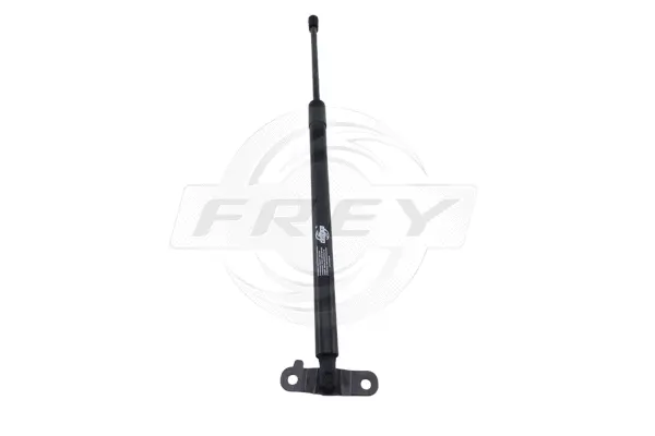 Gas Spring, boot/cargo area (790809101)