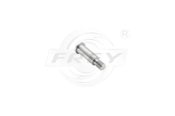 Bearing Journal, tensioner pulley lever (721108801)