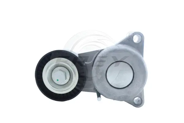 Tensioner Lever, V-ribbed belt (721205801)