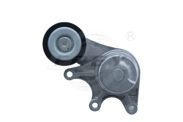 Belt Tensioner, V-ribbed belt (821205601)