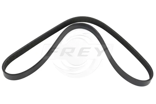 V-Ribbed Belt (821626801)
