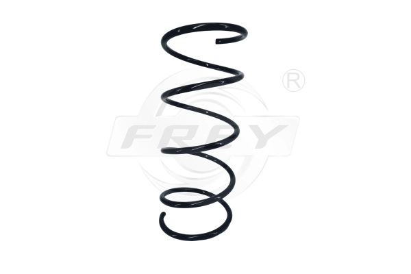 Suspension Spring (751701401)