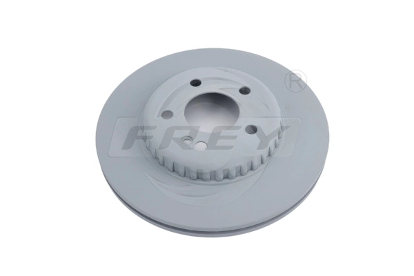 Brake Disc (745236201)