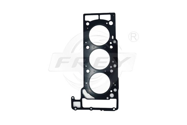 Gasket, cylinder head (700101643)