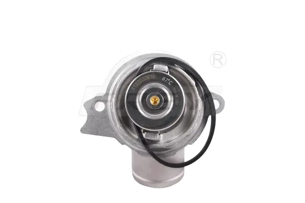 Thermostat, coolant (723100601)