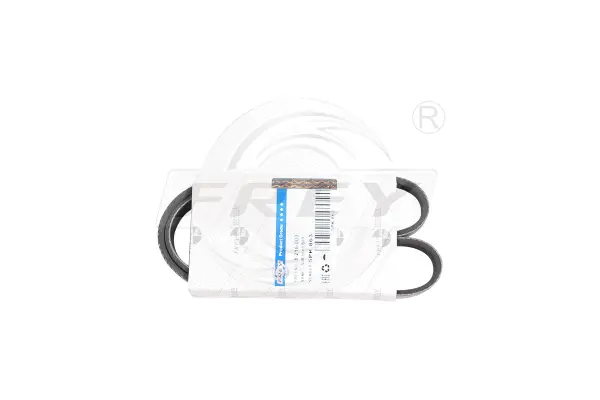 V-Ribbed Belt (821610001)