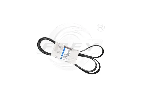 V-Ribbed Belt (721601801)