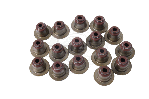 Seal Set, valve stem (801500801)