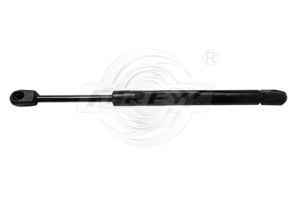 Gas Spring, boot/cargo area (890803117)