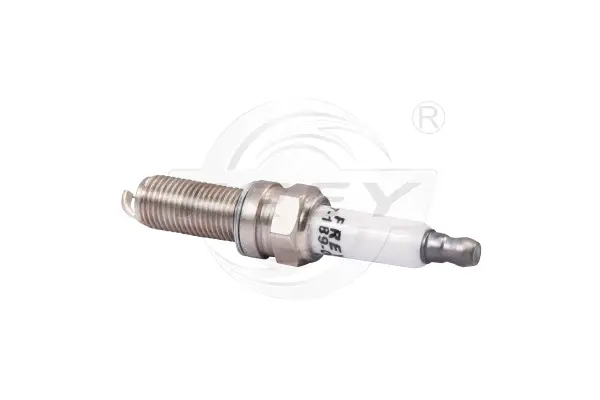 Spark Plug (718900601)