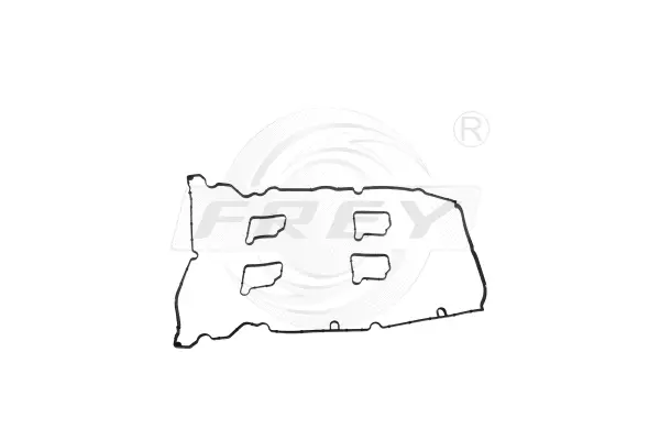 Gasket, cylinder head cover (700406501)