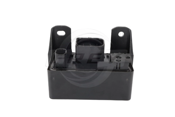Control Unit, glow time (783617301)