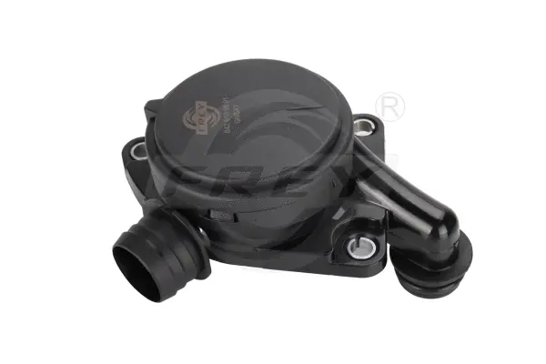Valve, crankcase ventilation (710102901)