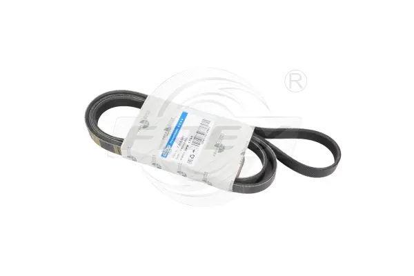 V-Ribbed Belt (721606101)