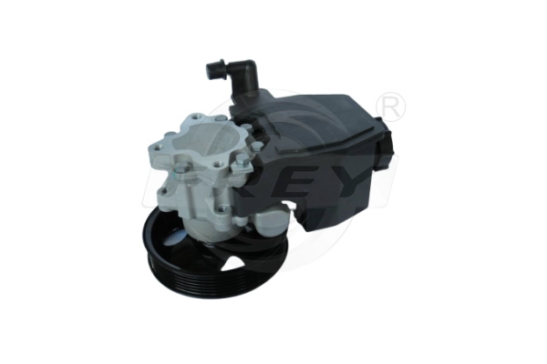 Hydraulic Pump, steering (760900401)
