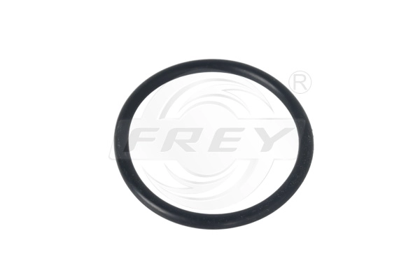 Solenoid Valve (700534501)