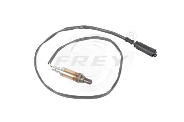 Lambda Sensor (880602601)