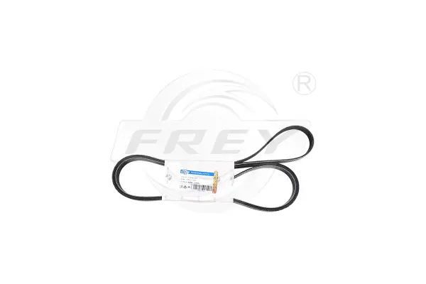 V-Ribbed Belt (721603001)
