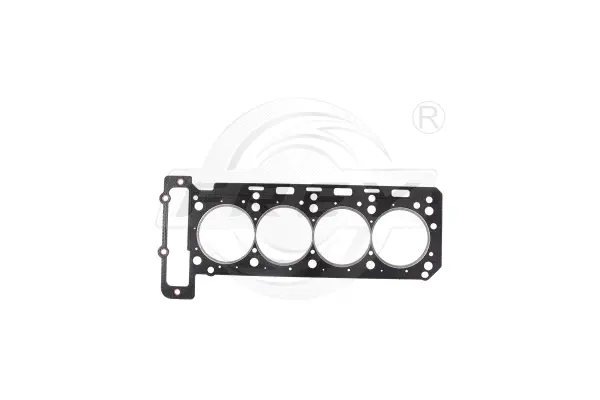 Gasket, cylinder head (700101401)