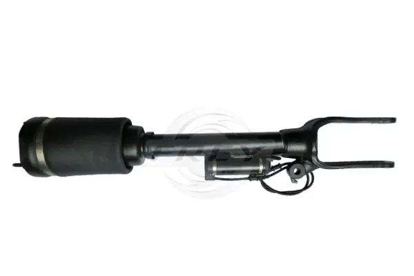 Air Suspension Strut (750435101)