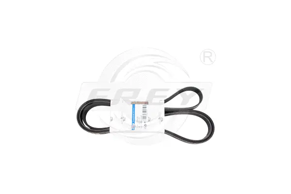 V-Ribbed Belt (721603601)