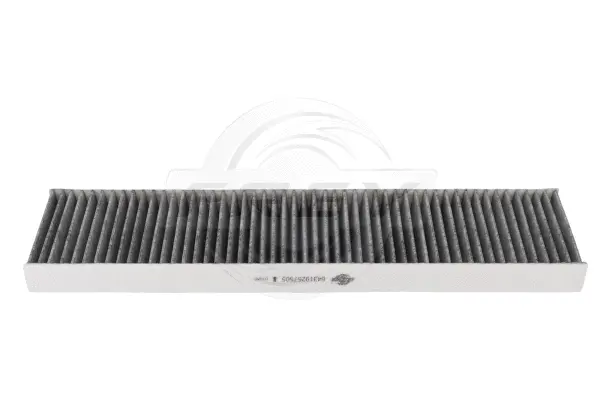 Air Filter (803111201)