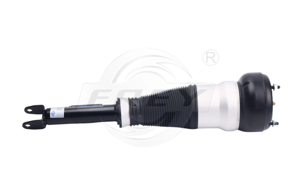 Shock Absorber (750432201)