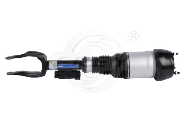 Shock Absorber (750434901)