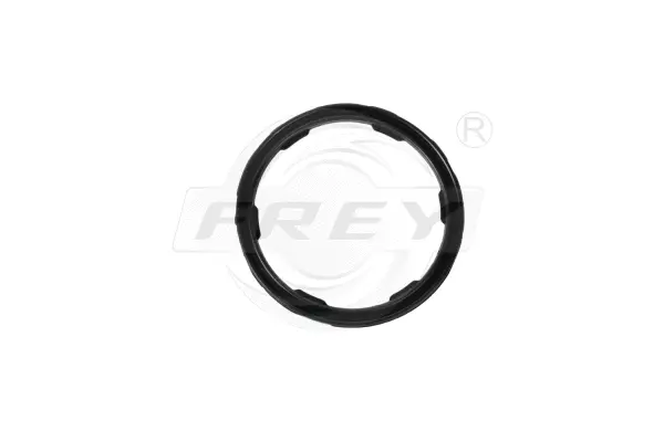 Seal Ring, engine oil level sensor (700513601)