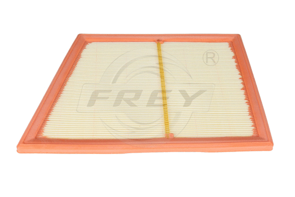 Air Filter (803112001)