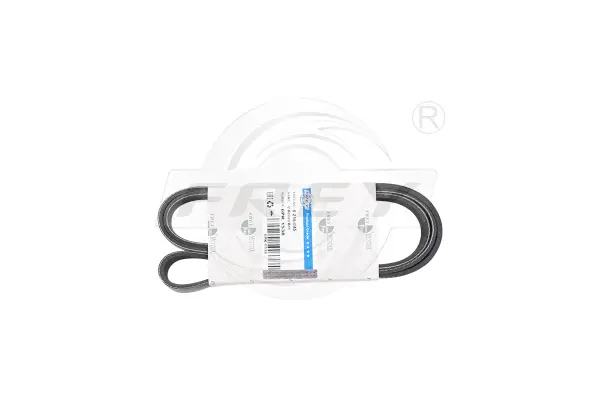 V-Ribbed Belt (821604501)