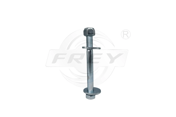 Mounting and Bolting Kit, control/trailing arm (701756501)