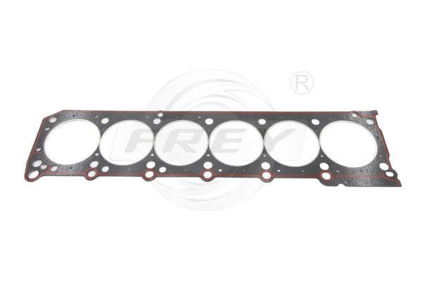 Gasket, cylinder head (700101343)