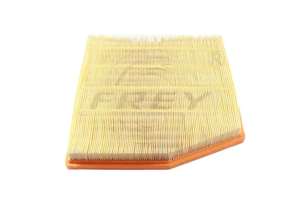 Air Filter (803106001)
