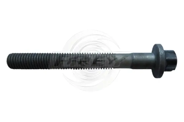 Cylinder Head Bolt (701000204)